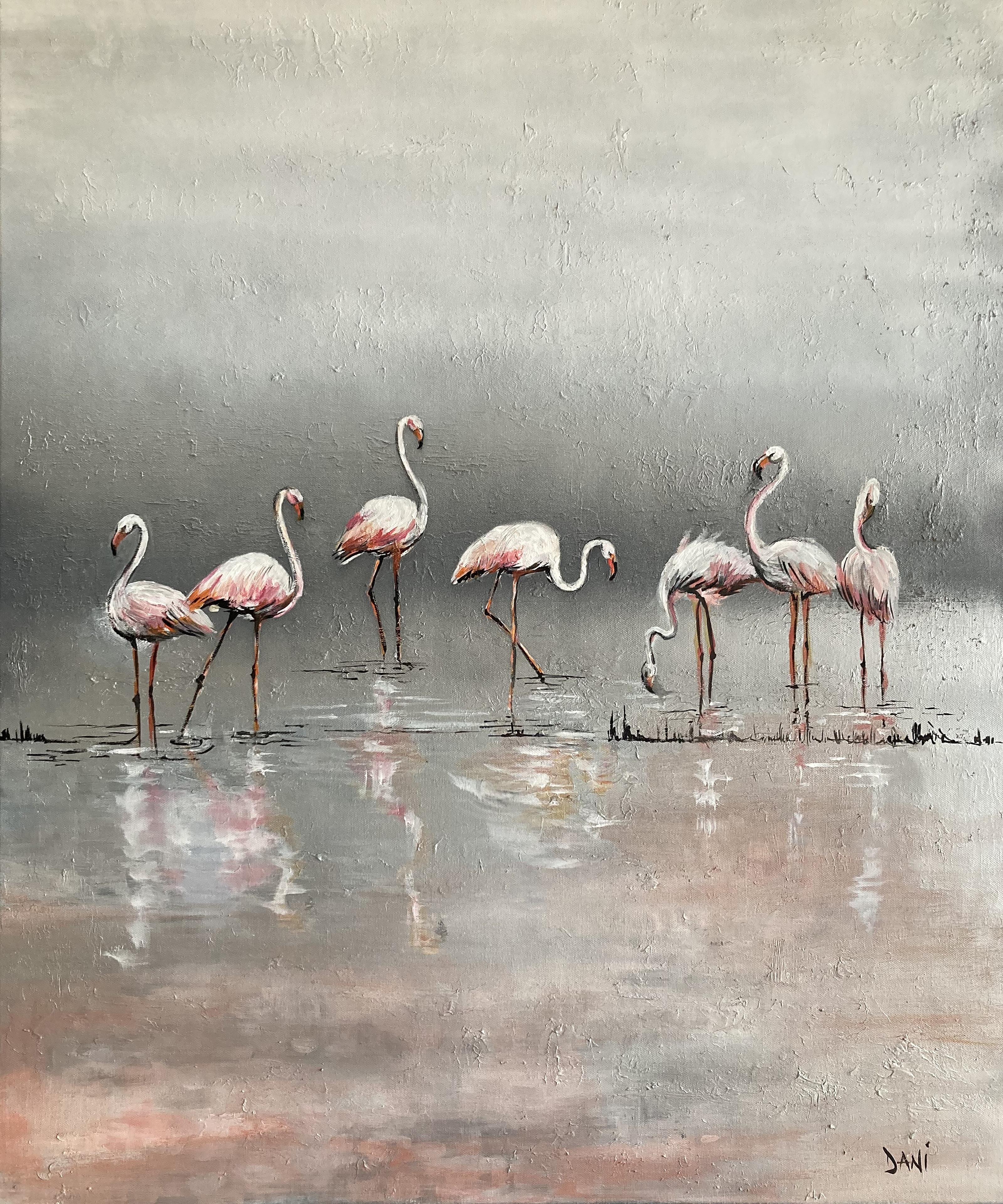 Flamingos