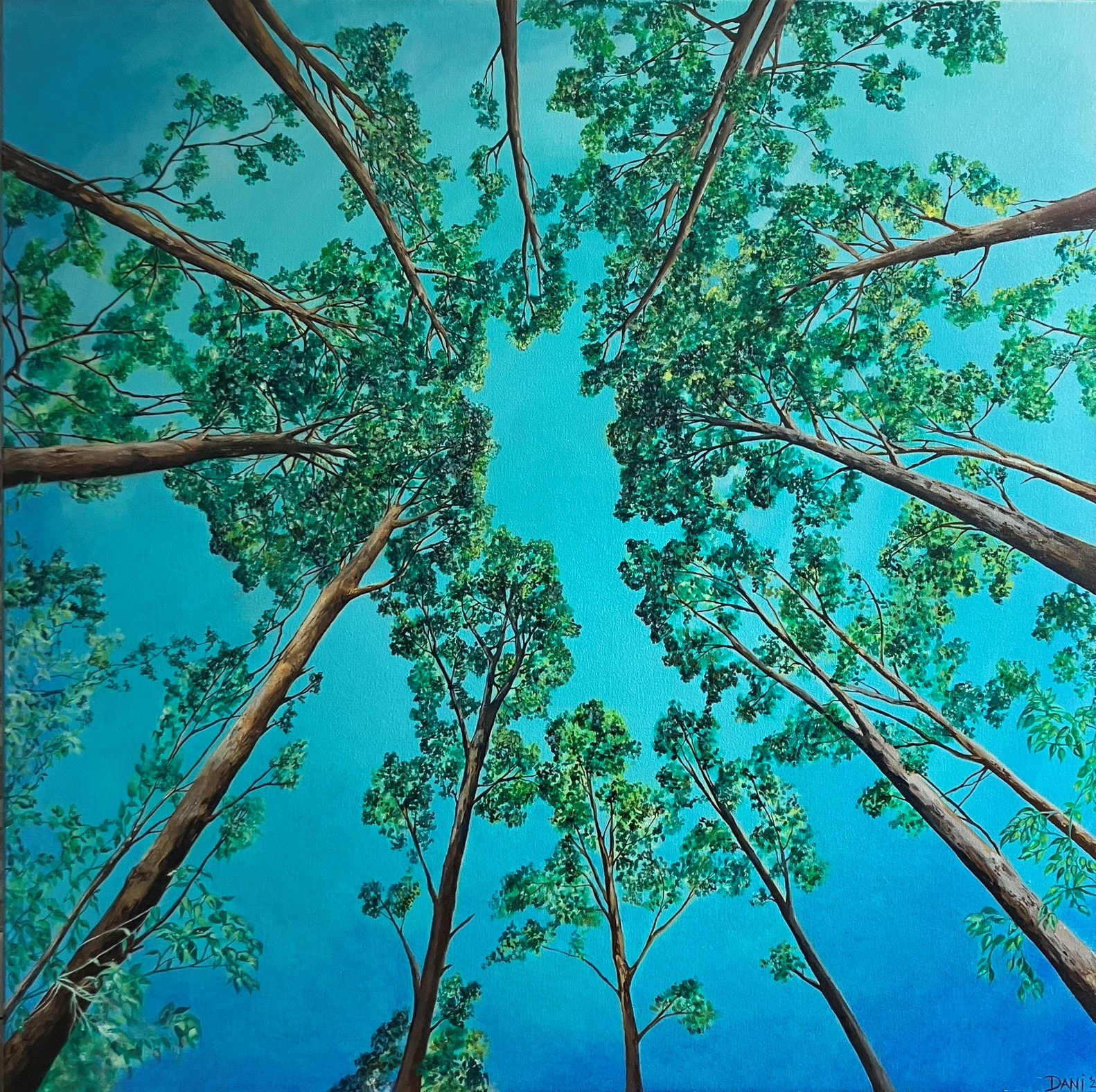 Tree Canopy